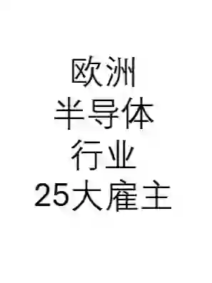 欧洲半导体行业25大雇主