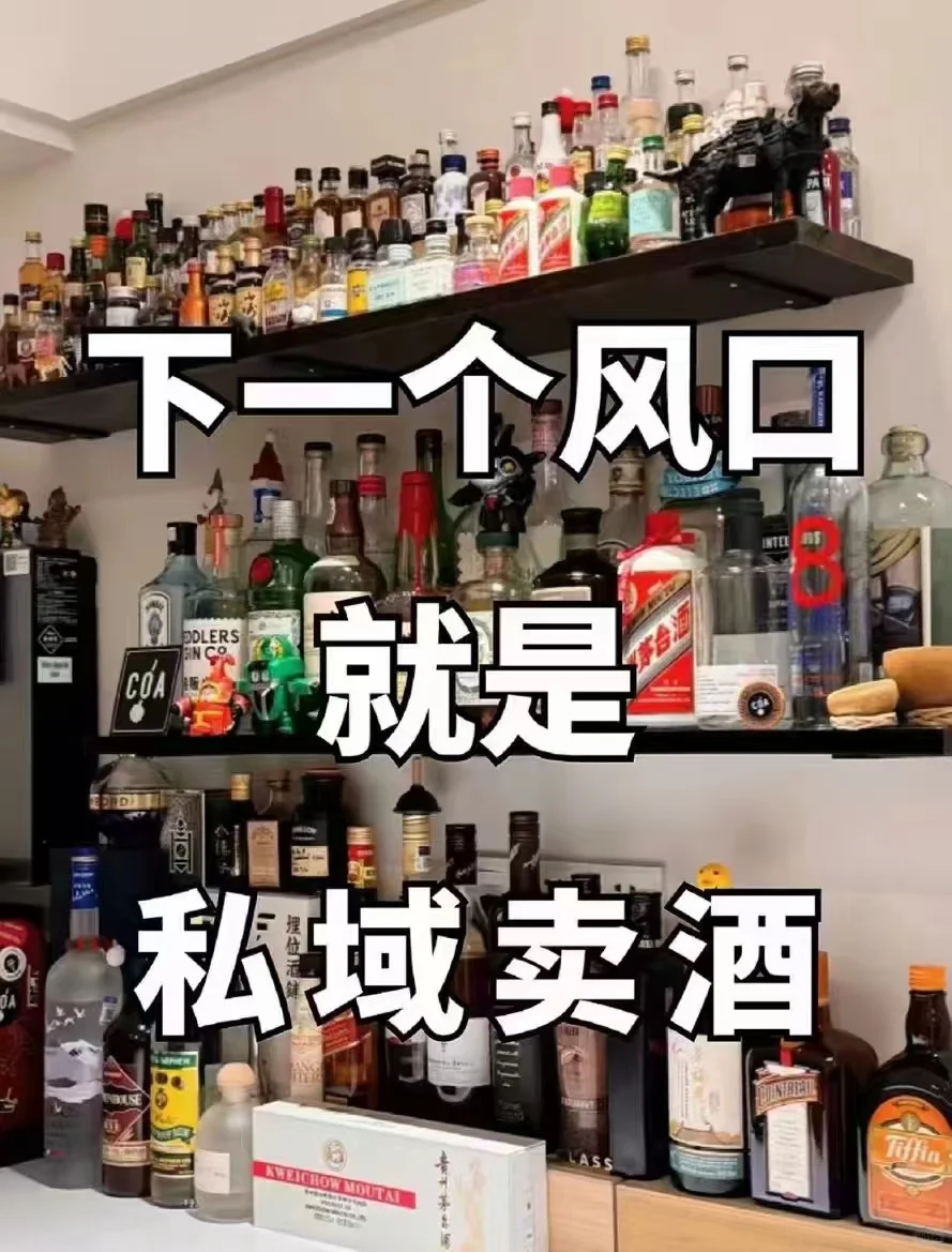 酒水闪电仓的赛道能挣米吗？